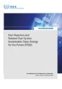 Fast Reactors And Related Fuel Cycles - Preview