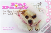 Capa do artigo Fat Daisy