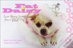 Capa do artigo Fat Daisy