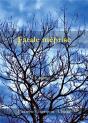 Fatale Meprise - Preview