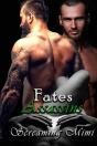 Fates Assassin'S - Preview