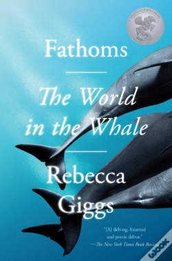 Capa do artigo Fathoms