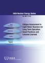 Fatigue Assessment In Light Water Reactors For Long Term Operation - Preview
