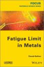 Fatigue Limit In Metals - Preview