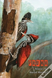 Fauna