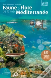 Faune & Flore De La Mer Méditerranée