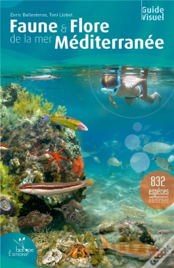 Capa do artigo Faune & Flore De La Mer Méditerranée