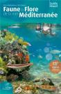 Faune & Flore De La Mer Méditerranée - Preview