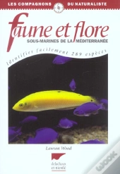 Faune Et Flore Sous-Marines De La Mediterrannee