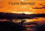 Faune Sauvage Calendrier Mural 2018 Din A3 Horizontal - Preview