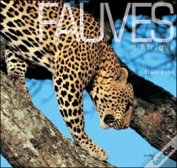Capa do artigo Fauves D'Afrique