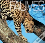 Capa do artigo Fauves D