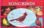 Favorite Songbirds - Preview