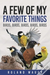 Capa do artigo Favorite Things