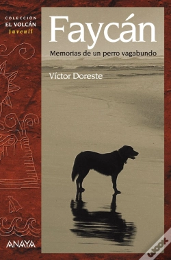 Capa do artigo Faycan  