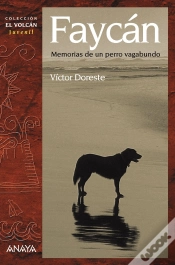 Capa do artigo Faycan  