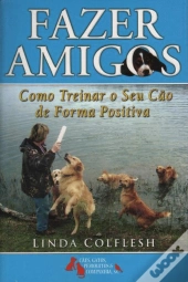 Fazer Amigos