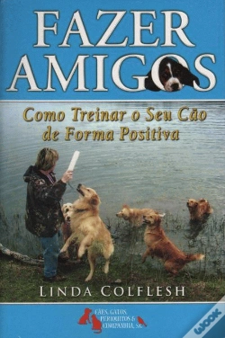 Capa do artigo Fazer Amigos