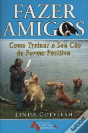 Capa do artigo Fazer Amigos