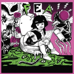 Capa do artigo FEA - Vinil