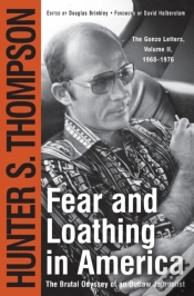 Capa do artigo Fear And Loathing In America