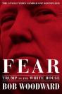 Fear - Preview