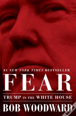 Capa do artigo Fear
