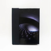 Capa do artigo Fear Inoculum - CD