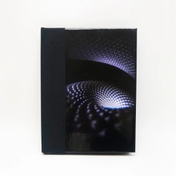 Capa do artigo Fear Inoculum - CD