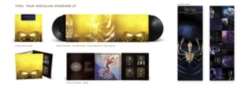 Capa do artigo Fear Inoculum - Vinil