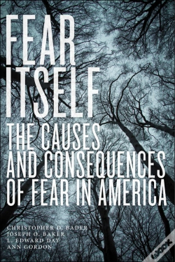 Capa do artigo Fear Itself