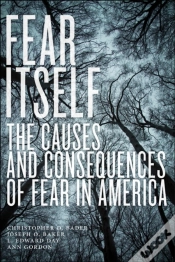 Capa do artigo Fear Itself
