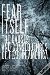 Capa do artigo Fear Itself