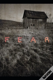 Capa do artigo Fear