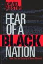 Fear Of A Black Nation - Preview