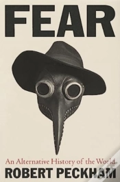 Capa do artigo Fear
