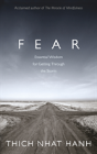 Fear - Preview