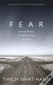 Capa do artigo Fear