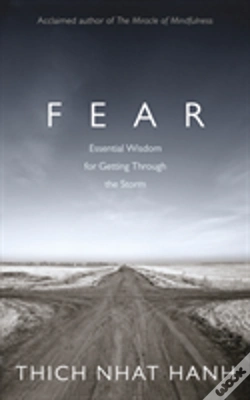 Capa do artigo Fear