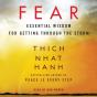 Fear - Preview