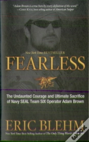 Capa do artigo Fearless
