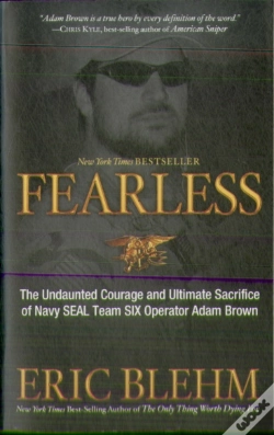 Capa do artigo Fearless