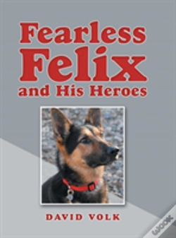 Capa do artigo Fearless Felix And His Heroes