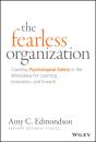 Fearless Organization - Preview