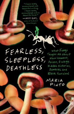 Capa do artigo Fearless, Sleepless, Deathless