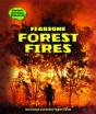 Fearsome Forest Fires - Preview