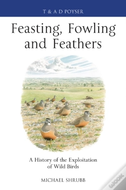 Capa do artigo Feasting, Fowling And Feathers