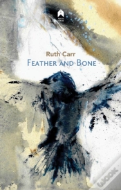 Capa do artigo Feather And Bone