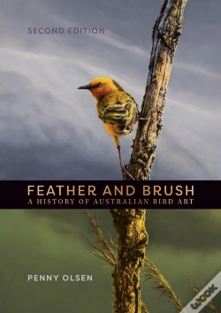 Capa do artigo Feather And Brush