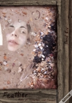 Capa do artigo Feather